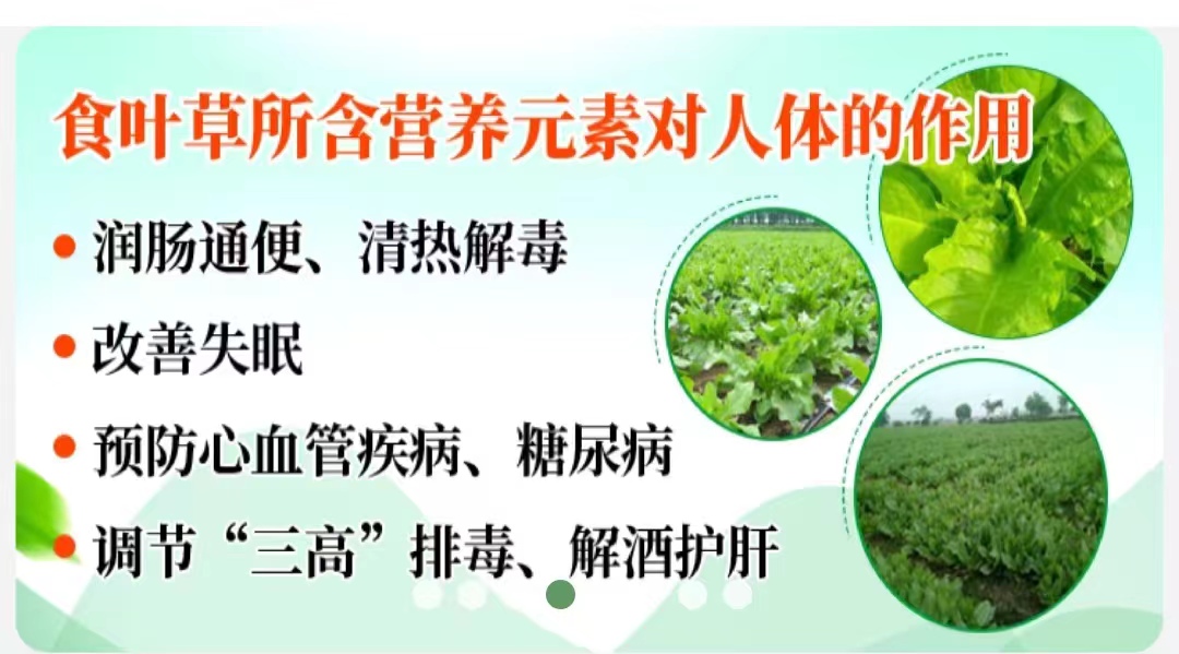 微信图片_20231129110554.jpg